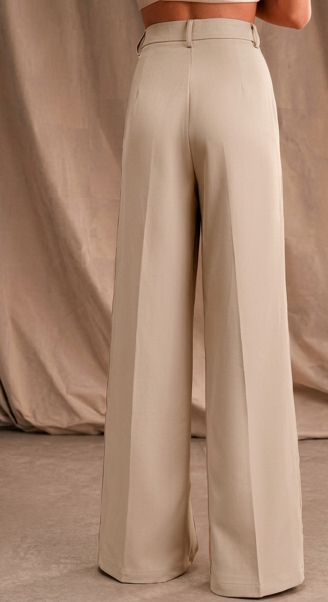 Women Relaxed Straight Fit High-Rise Pleated Wide Leg Trousers