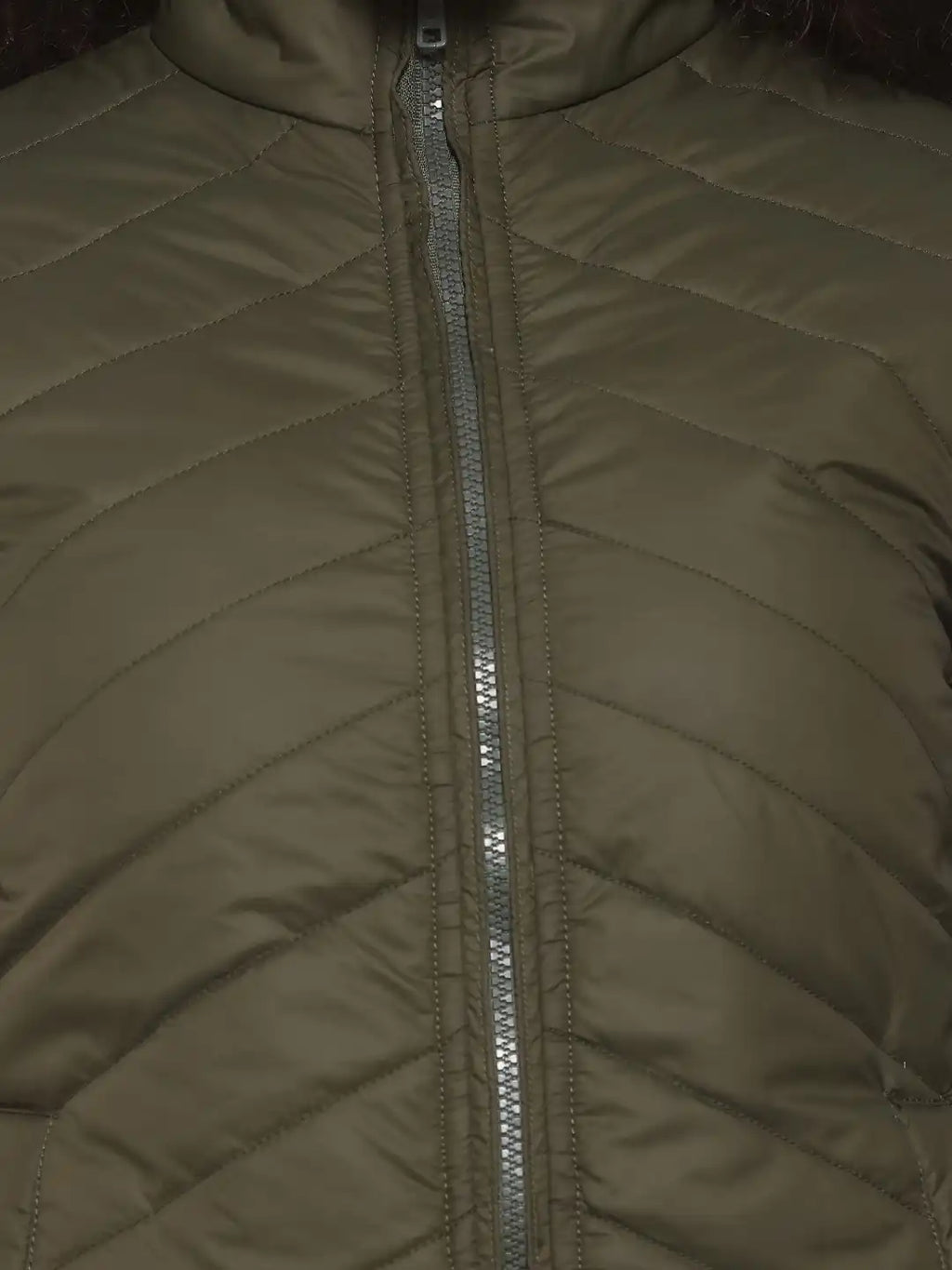Women Olive Green Solid Padded Jacket