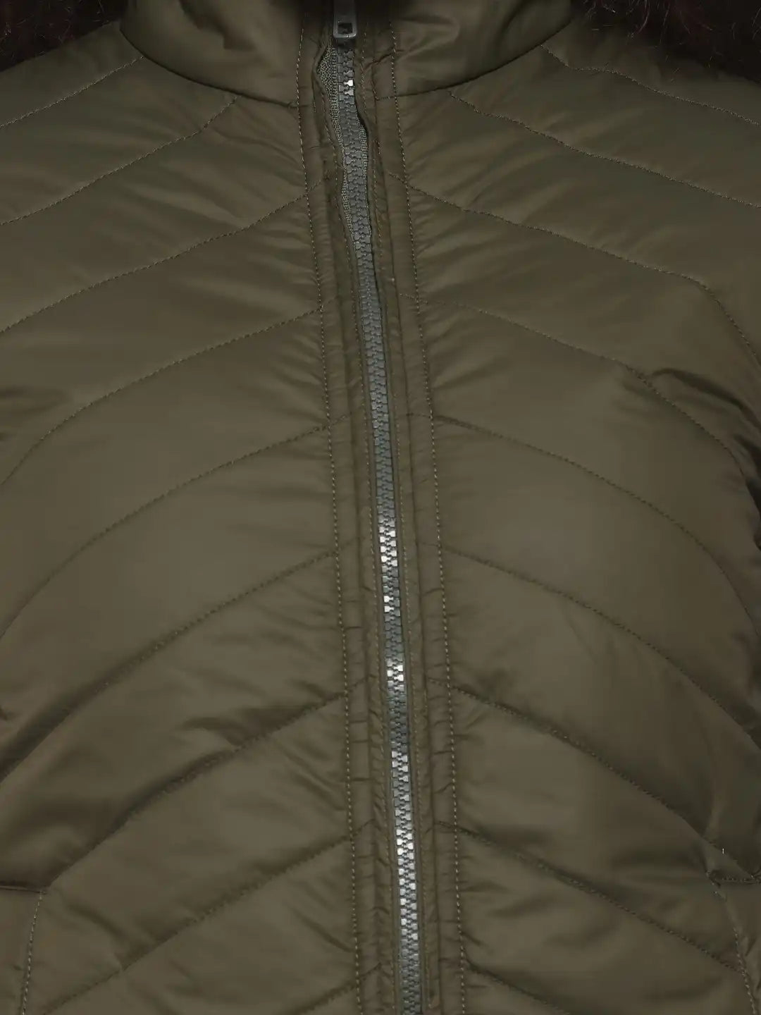Women Olive Green Solid Padded Jacket