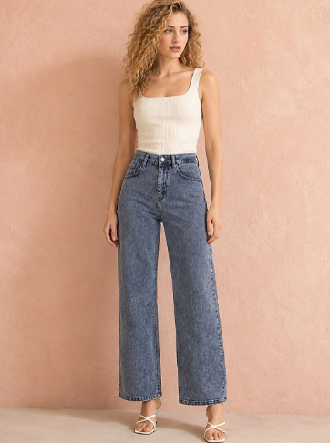 Women Regular Fit Mid-Rise Stretchable Jeans